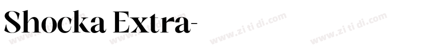 Shocka Extra字体转换